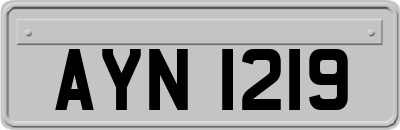 AYN1219