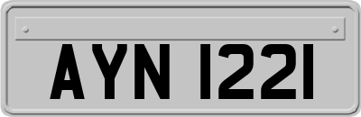 AYN1221