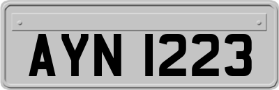AYN1223