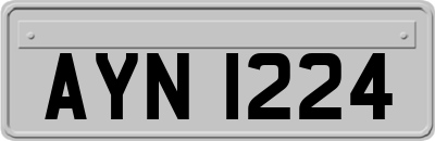 AYN1224