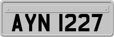 AYN1227