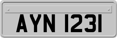 AYN1231