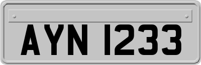 AYN1233