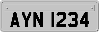 AYN1234
