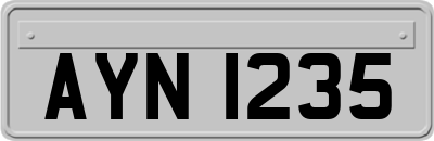 AYN1235