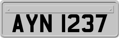 AYN1237
