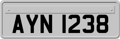 AYN1238