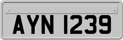 AYN1239