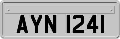 AYN1241