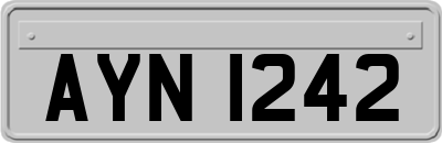 AYN1242