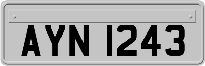 AYN1243