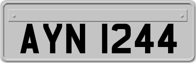 AYN1244