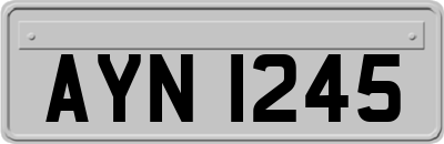 AYN1245