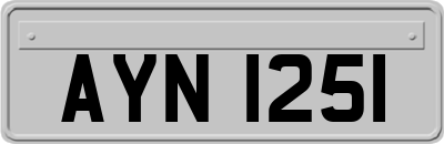AYN1251
