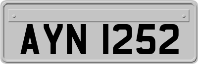 AYN1252