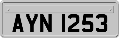 AYN1253