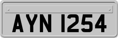 AYN1254
