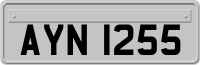 AYN1255