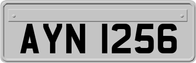 AYN1256