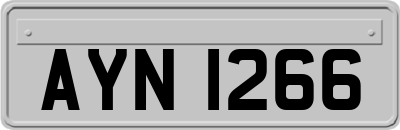 AYN1266