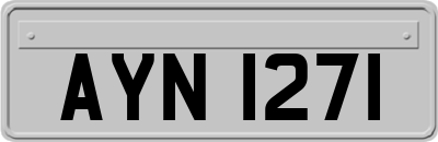 AYN1271