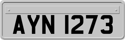 AYN1273