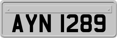 AYN1289