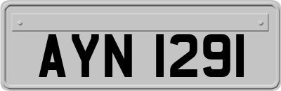 AYN1291