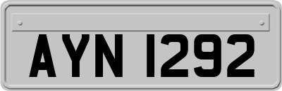 AYN1292