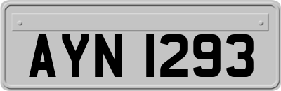AYN1293