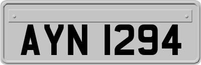 AYN1294