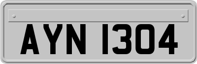 AYN1304