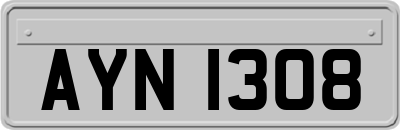 AYN1308