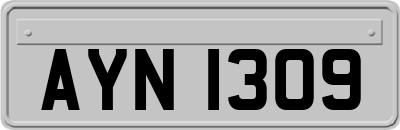 AYN1309
