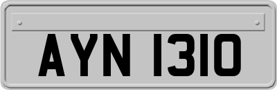 AYN1310