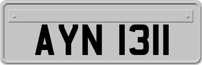AYN1311