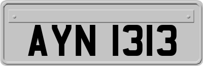 AYN1313
