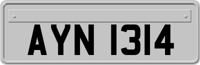 AYN1314