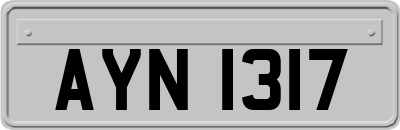 AYN1317