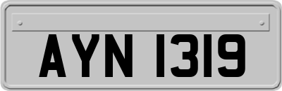 AYN1319
