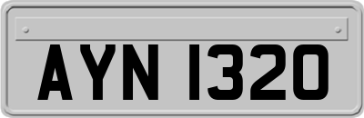 AYN1320