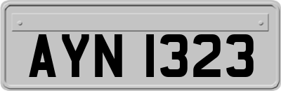 AYN1323