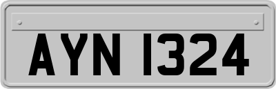 AYN1324