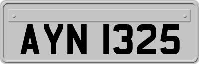 AYN1325