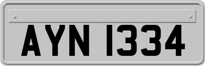 AYN1334