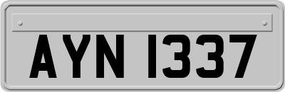 AYN1337