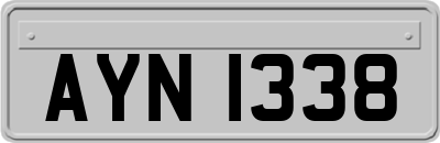 AYN1338