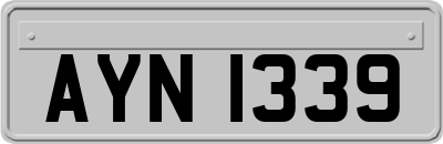 AYN1339