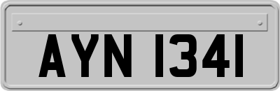 AYN1341