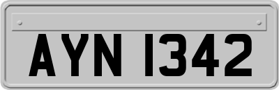 AYN1342